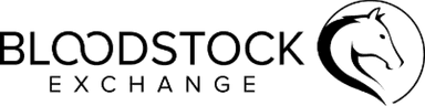 bex-logo