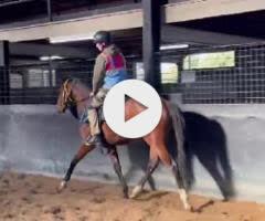 Lustrale x Frankel '22 Filly